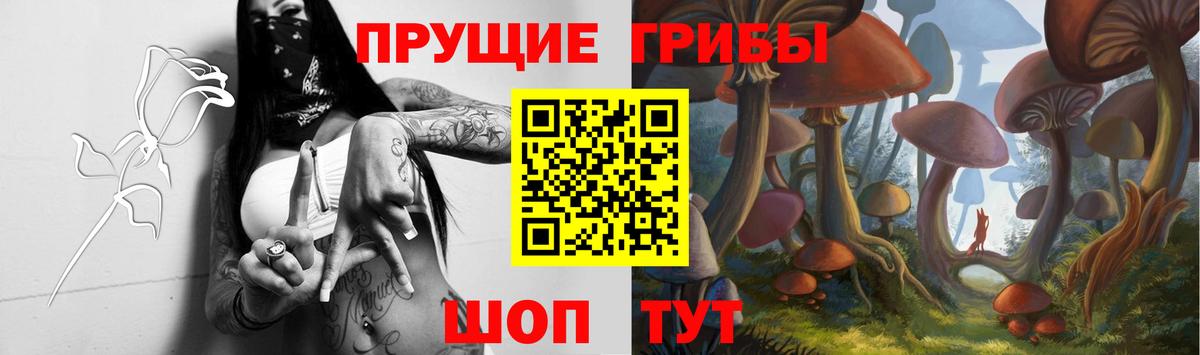 Галлюциногенные грибы прущие грибы  Вход с VPN  Алушта  Галлюциногенные грибы мицелий 